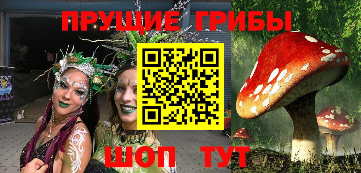 Галлюциногенные грибы MAGIC MUSHROOMS Великий Устюг