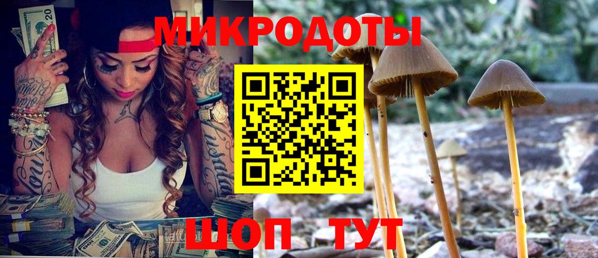 Великий Устюг  Галлюциногенные грибы мухоморы  Вход с VPN 